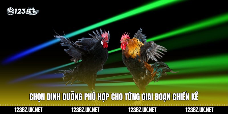 Chọn dinh dưỡng phù hợp cho từng giai đoạn chiến kê