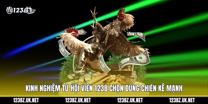 Kinh nghiệm từ hội viên 123B chọn đúng chiến kê mạnh