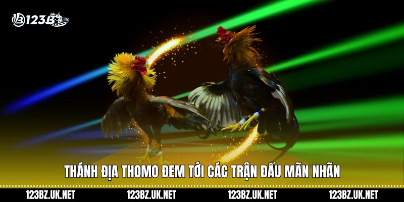 Thánh địa Thomo đem tới các trận đấu mãn nhãn