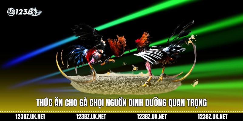 Thức ăn cho gà chọi nguồn dinh dưỡng quan trọng