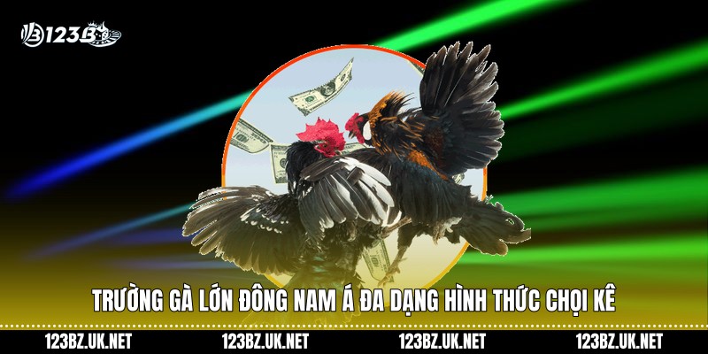 Trường gà lớn Đông Nam Á đa dạng hình thức chọi kê