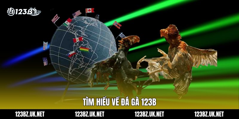 Tìm hiểu về đá gà 123B